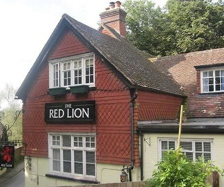 מלון Betchworth The Red Lion מראה חיצוני תמונה